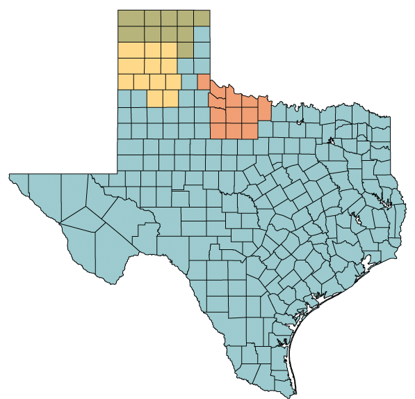 Texas Districts Colored