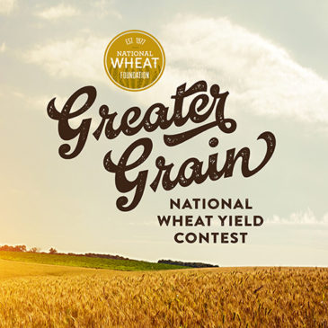 PRESS RELEASE: Texas Producer Recognized as National Wheat Yield Contest Winner