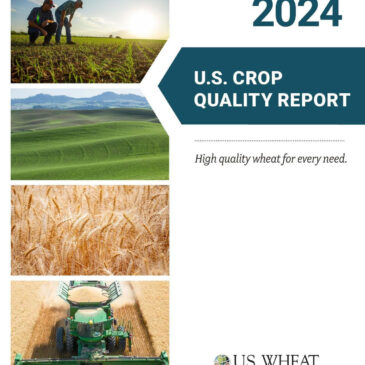 High Quality Wheat for Every Need Detailed in 2024 U.S. Crop Quality Report