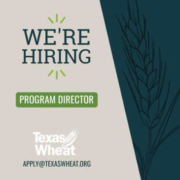 Join Our Team: Texas Wheat to Hire Program Director