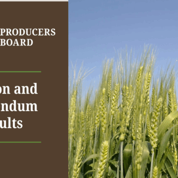 Press Release: Texas Wheat Announces Election and Referendum Results
