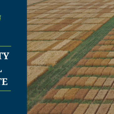 McGregor Cool Season Forage Trial Results