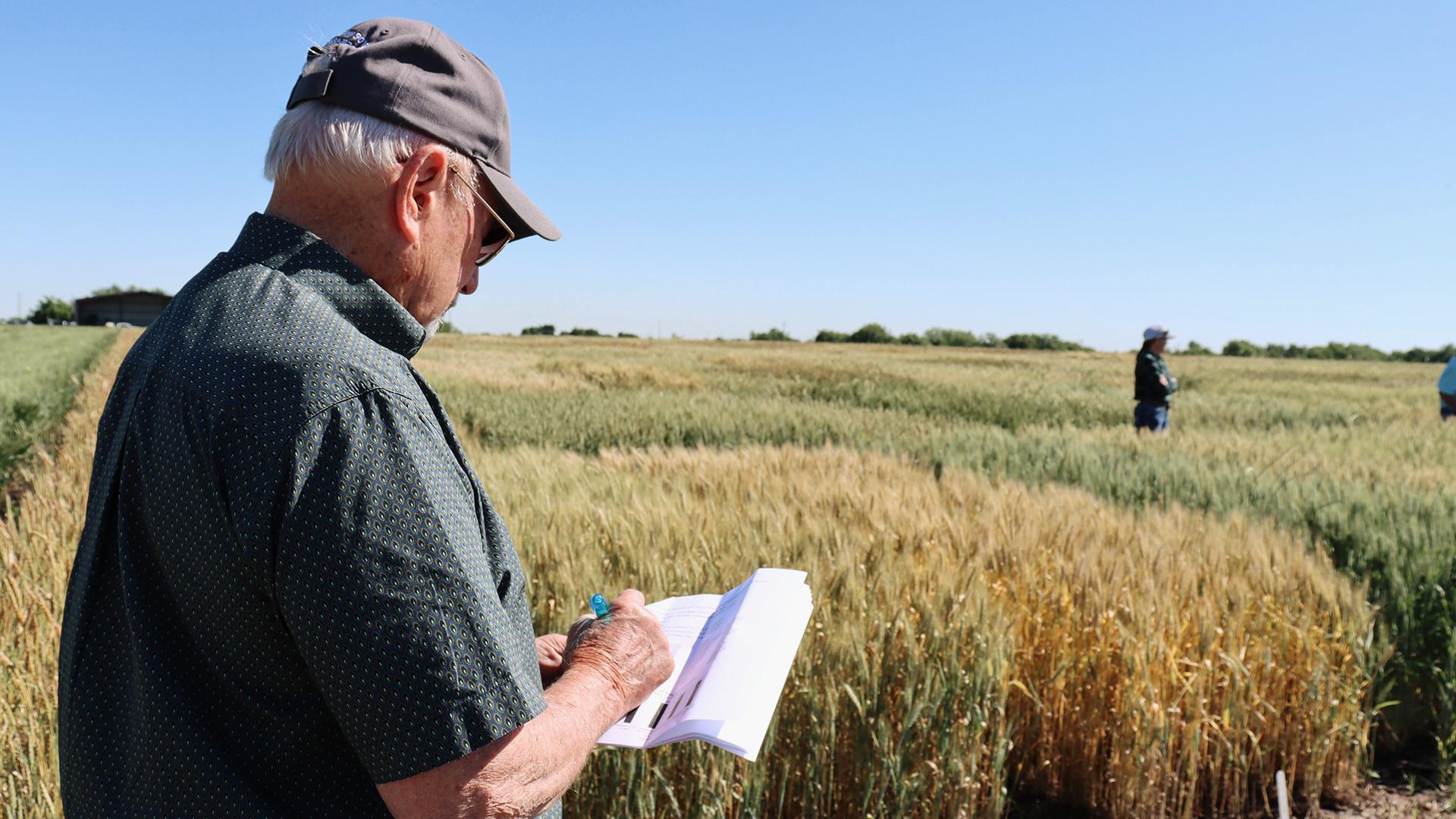 Extension Education Tip: Is It Too Late to Plan Your Wheat Fertility Needs?