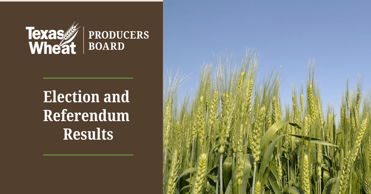 Press Release: Texas Wheat Announces Election and Referendum Results