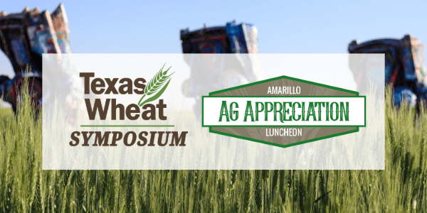 Press Release: Texas Wheat Producers Association and the Ag & Natural Resources Council Make Donation to the High Plains Food Bank