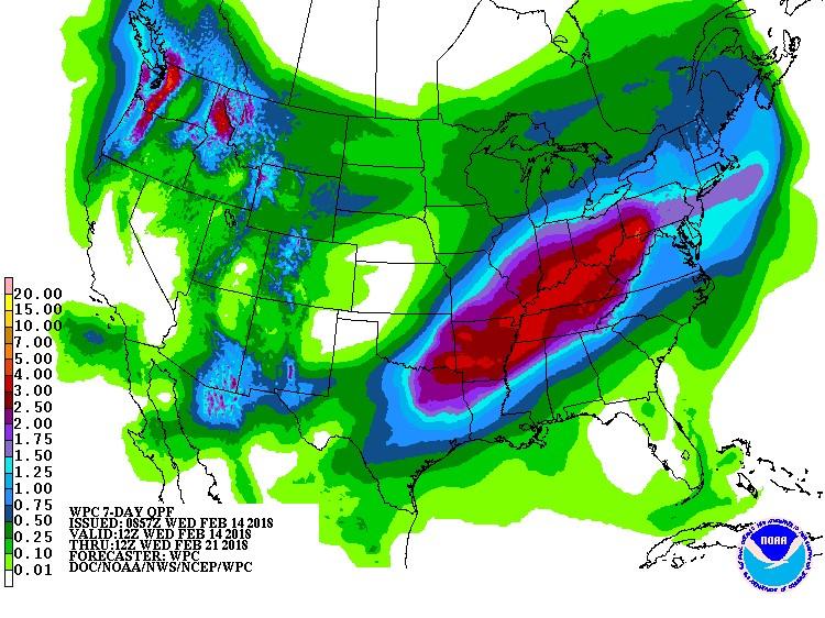 Texas Wheat Disease Update