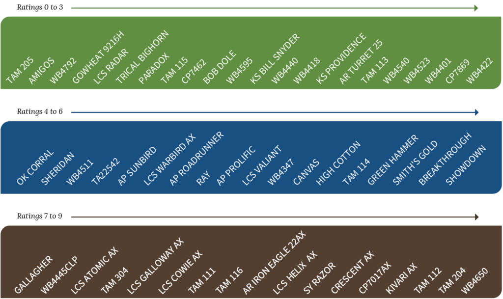 2025 Texas Leaf Rust Ratings