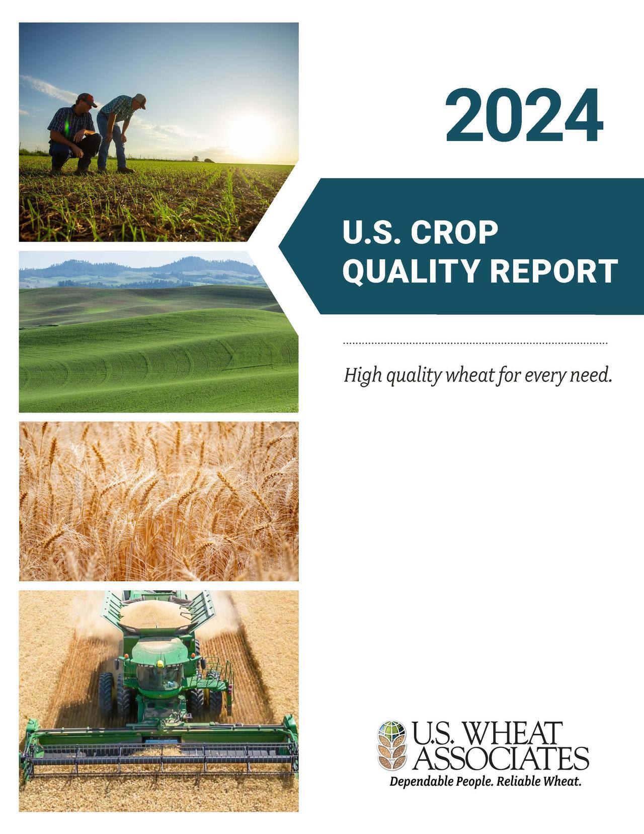 High Quality Wheat for Every Need Detailed in 2024 U.S. Crop Quality Report