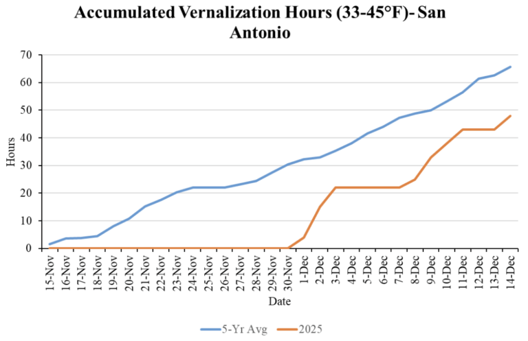 Accumulated Vernalization Hours
