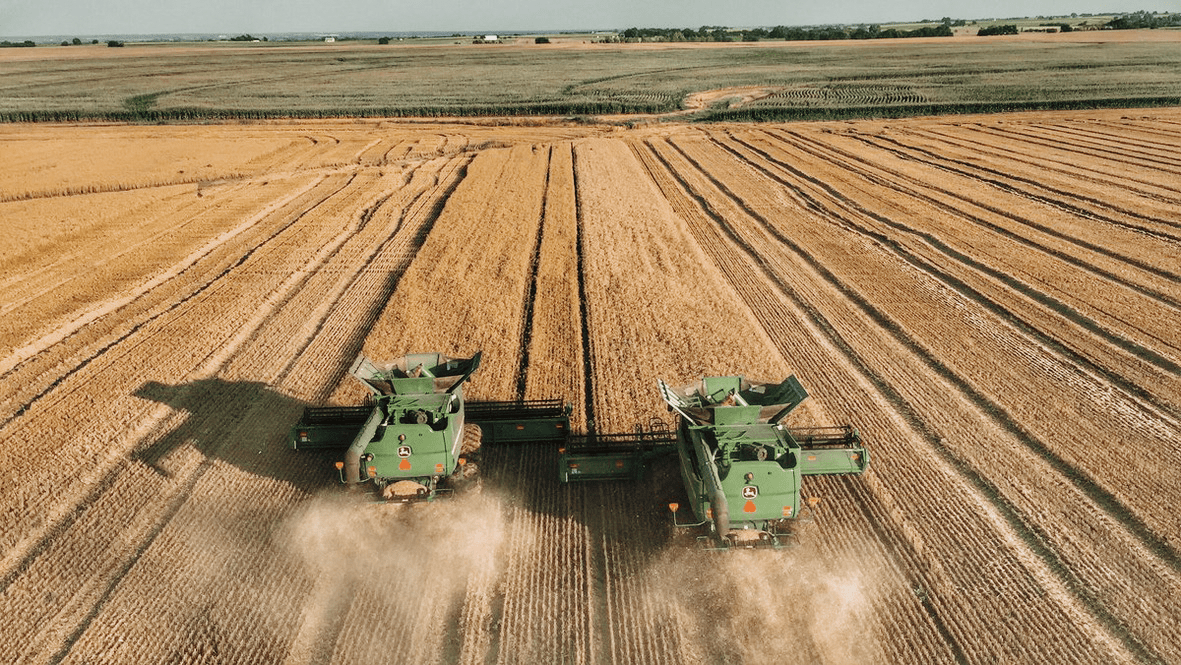 Lesson 3-Wheat Production