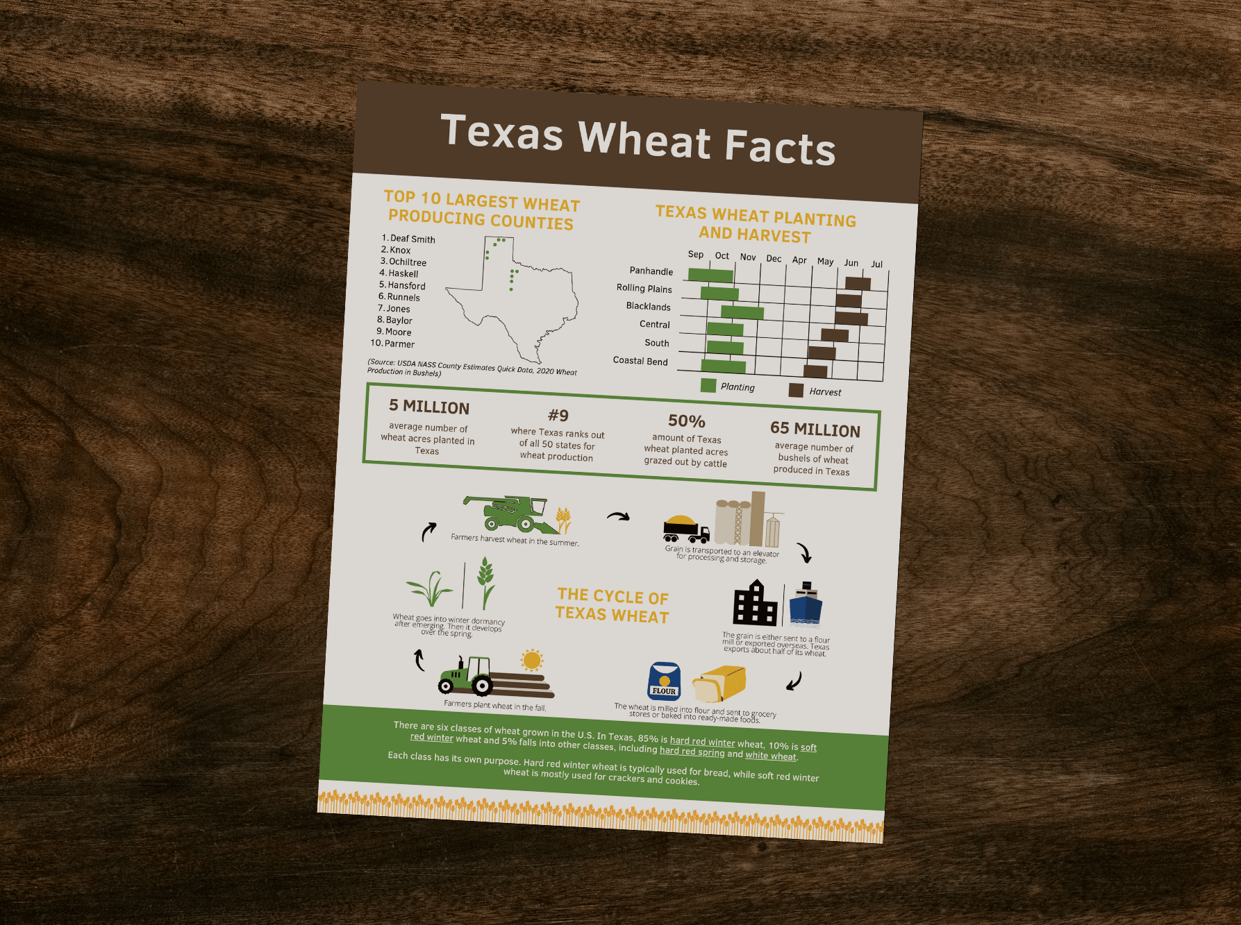 Texas Wheat Facts