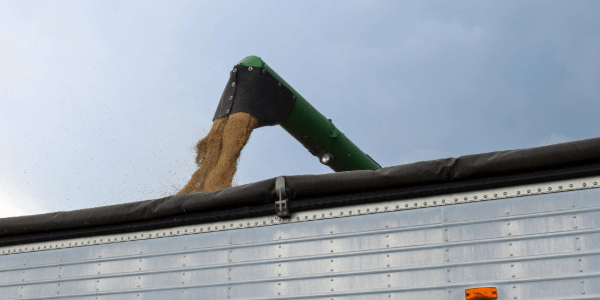 Managing Moisture at Harvest to Optimize Income