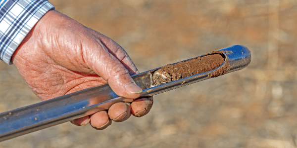 Soil Sampling for Wheat