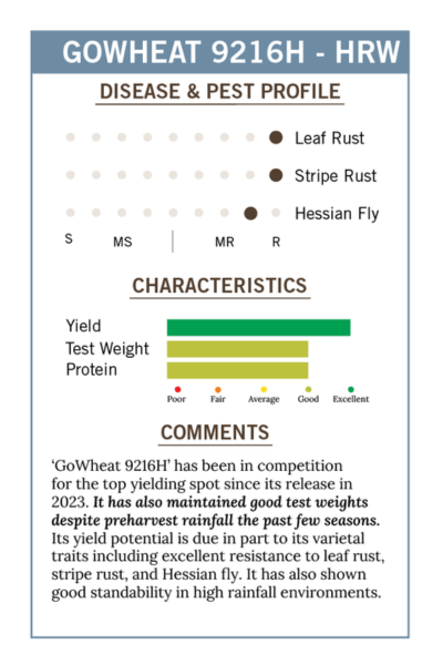 2026 BLHRW - GoWheat 9216H