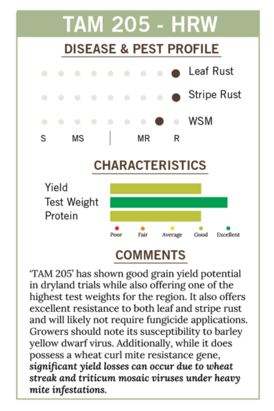 2026 HPDL TAM 205