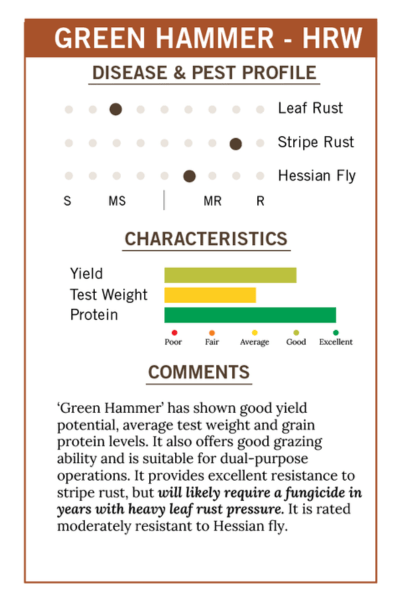 2026 RP - Green Hammer