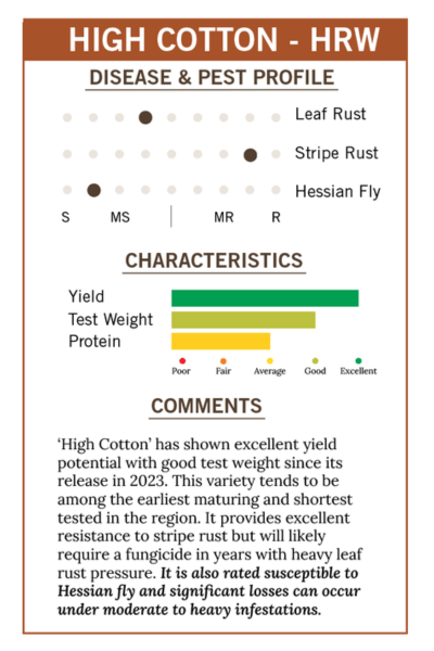2026 RP - High Cotton