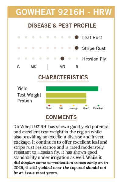 2026 ST - GoWheat 9216H