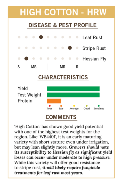 2026 ST - High Cotton