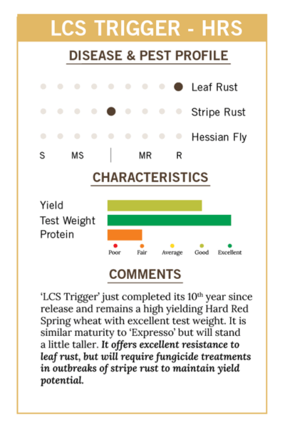 2026 ST - LCS Trigger