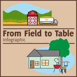 Texas Wheat Field To Table Infographic