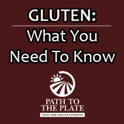 Gluten: What You Need To Know