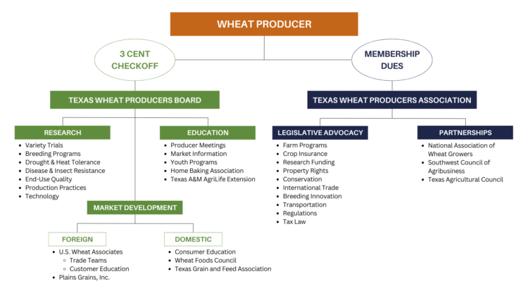Texas Wheat Org Chart